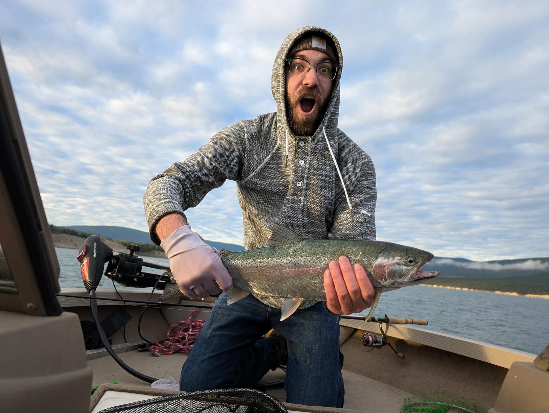 Feesh